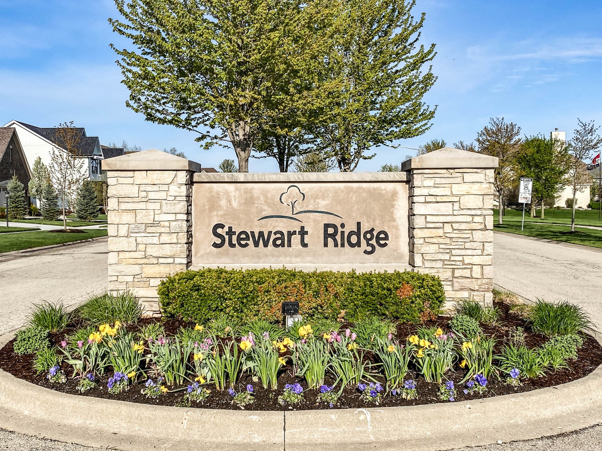 Stewart Ridge